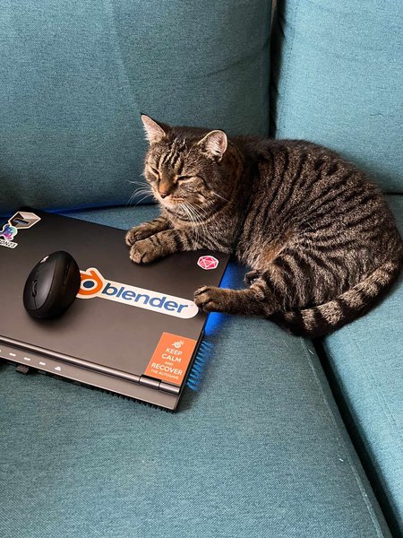 cat_oliver_laptop.jpg