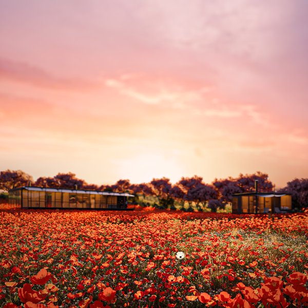 flower_field.jpg