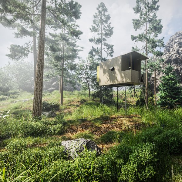 forest_hut.jpg