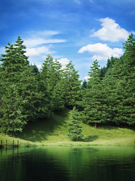 norway_fjord_forest.jpg