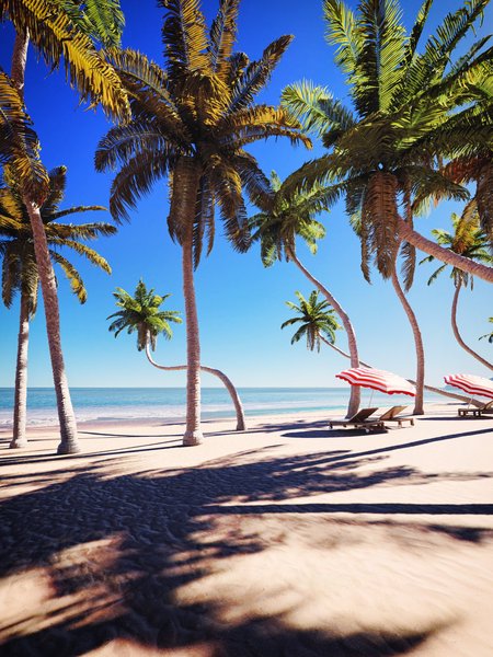 palm_beach.jpg