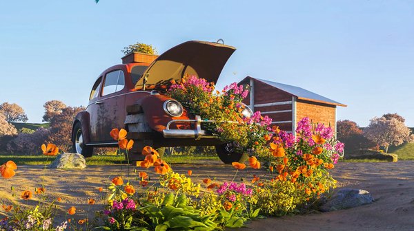 vw_beetle.jpg