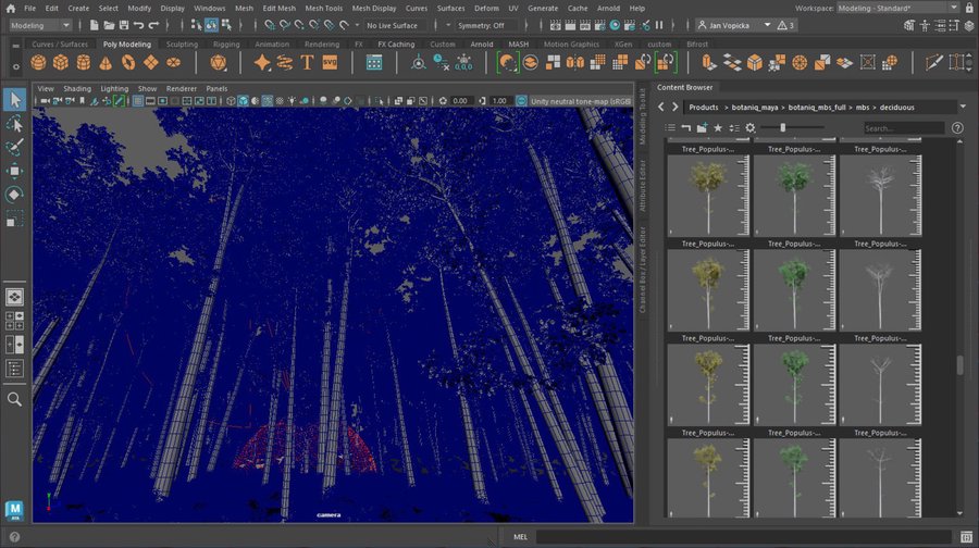 a_viewport_wire.jpg