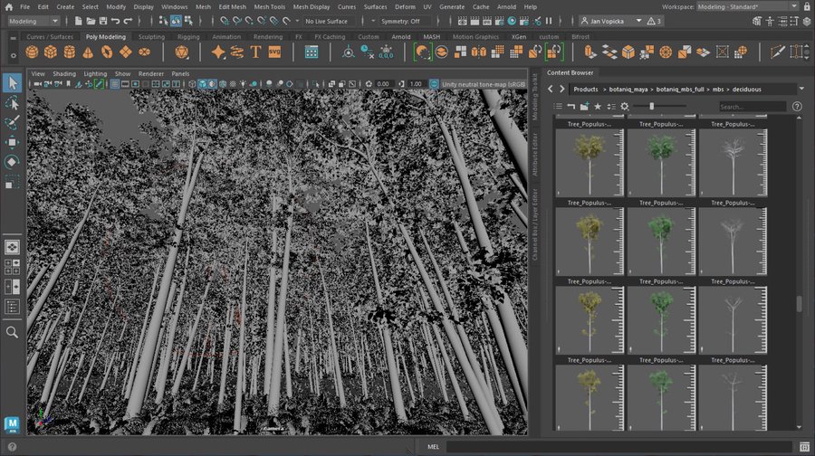 b_viewport_solid.jpg