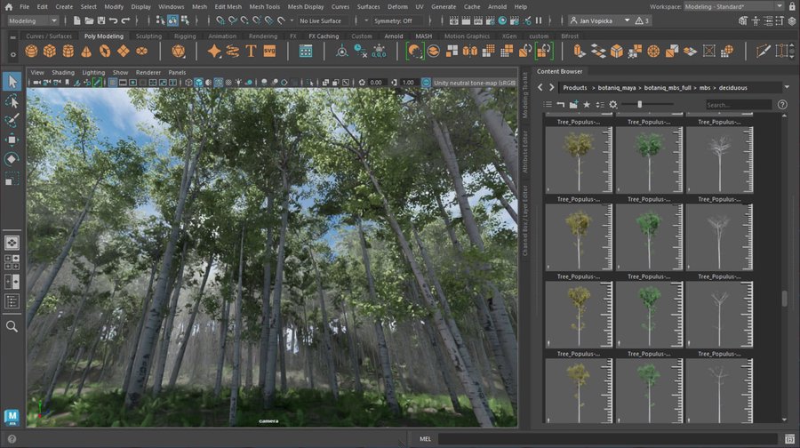 viewport_rendered.jpg