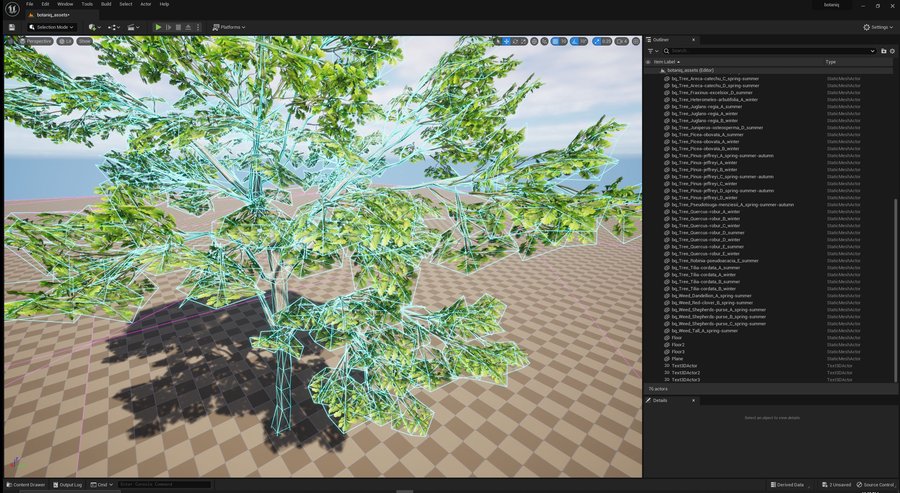 wireframe2.jpg