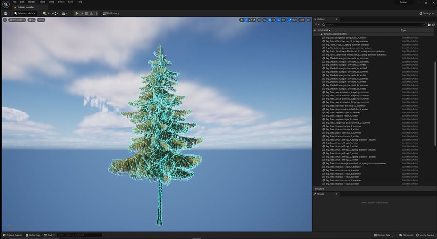 wireframe.jpg